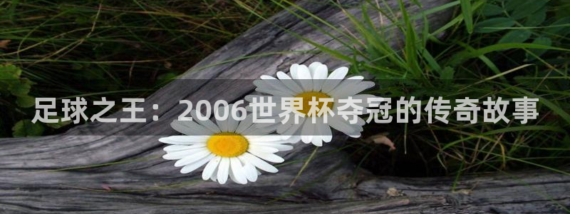 2026世界杯直播免费观看:足球之王:2006世界杯夺冠的传奇故事