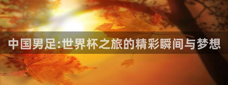 2026年足球世界杯赛程时间表:中国男足:世界杯之旅的精彩瞬间与梦想