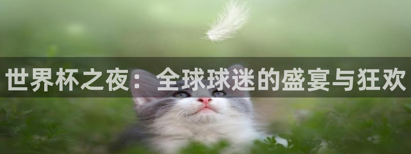 世界杯欧洲区世预赛赛程:世界杯之夜:全球球迷的盛宴与狂欢