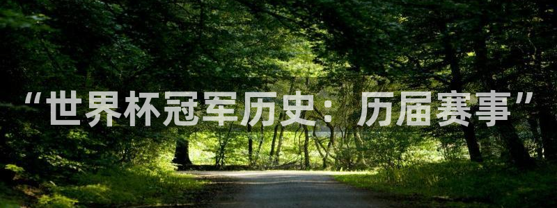 2026男足世界杯赛程:“世界杯冠军历史:历届赛事”