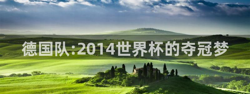 欧洲区世界杯预选赛:德国队:2014世界杯的夺冠梦