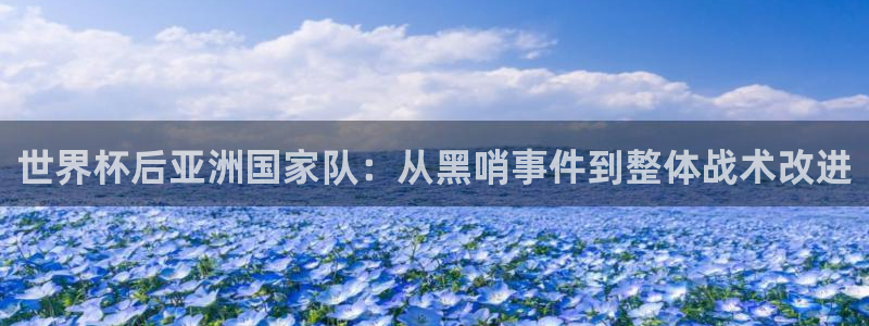 世界杯预选赛亚洲区积分榜:世界杯后亚洲国家队:从黑哨事件到整体战术改进