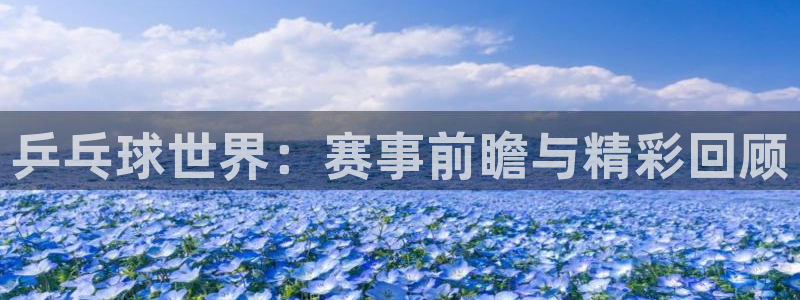 2026世界杯亚洲预选赛:乒乓球世界:赛事前瞻与精彩回顾