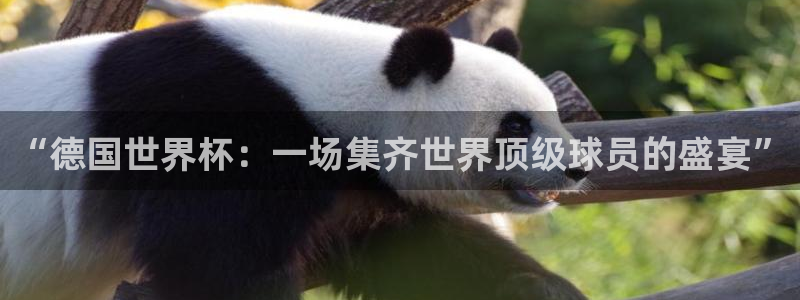 欧洲世界杯预选赛:“德国世界杯:一场集齐世界顶级球员的盛宴”